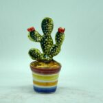 Vaso fico d'india a righe